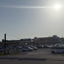 [대부도 데이트] 대부도 “바다향기농원”에서 전동바이크 내.돈.내.산 솔직리뷰(바다향기농원/고양이주택)