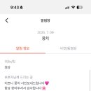 댕댕이펫살롱 이미지