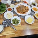 제주통도야지 이미지