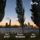 댕댕특별시 | 제가 뛴다고요...?! 런데이 러닝 5km 두달 후기 그리고 댕댕런