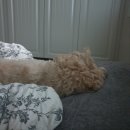 수앤나 | 2024 11월