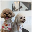 송이유치원 이미지