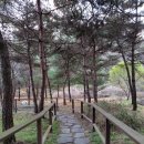 순살의민족&화평댁닭구이하양점 이미지