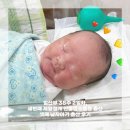 성소병원앞 | 임산부 38주 2일차 세번째 제왕절개 안동 성소병원 셋째 남자아기 출산 4일차 후기