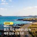 효돈동-3 | 제주 혼행 갈 때 성산일출봉 말고 이런 곳 어때요?인스타 감성 여행 장소 모음