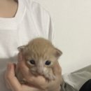 사직동물의료센터 이미지