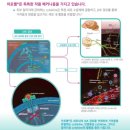 공원옆 동물병원 이미지