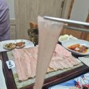 창원 상남동 맛집 갯바위횟집: 하모회 맛있는 가성비 회식장소 룸식당 상남동횟집맛집