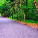 용현1교 이미지