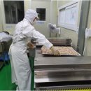 곰재웅치마을 이미지