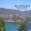 레드브릿지 이미지