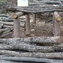 큰고을농원 이미지