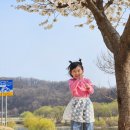 우리나현유치원 네이버블로그