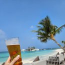 테마파티디바노래연습장 | 몰디브 벨리간두 돈밸리, 플로팅 조식, 비치 디너, 툰디바 총정리 [6탄]