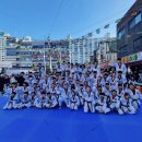 용인대태풍태권도장 이미지