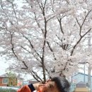 YMCA유치원 이미지