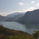 백년결혼 이미지