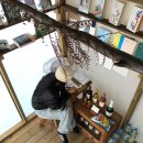 고사리맨션 이미지