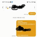금화안경 티스토리