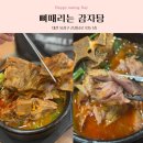 2848 | 대전 맛집 :: 엄청 부드러운 뼈때리는 감자탕/ 신성동 찐 맛집/ 현지인 추천