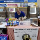 잘난돌스 이미지