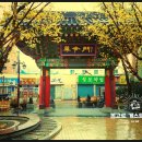 성보약업사 이미지