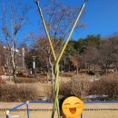 충훈공원 옆 이미지