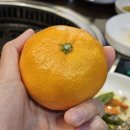 대박고기촌 이미지