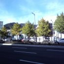 서여고 앞 이미지