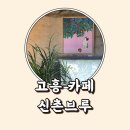 신촌브루 | 전남 고흥 카페 빈티지 시골감성 신촌브루