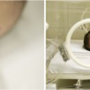 건강초음파 이미지