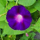 구름동산 이미지