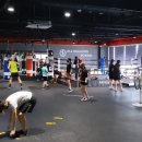 올라운더 복싱 이미지