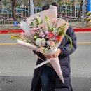 돈포레스트 이미지
