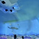 과메기문화관 화장실 이미지