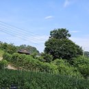 대곡면-5 이미지