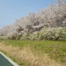 축구장 옆 화단 이미지