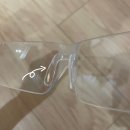 이글스포츠 | [가성비 러닝 고글] 단돈 1990원? 눈시림 해결해 준 엔공구 프로아이글 보안경 후기