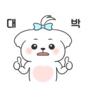 미키애견 이미지