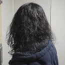 가디스헤어 | 역곡역 가디스헤어 12만원 최악의 헤어펌 내돈내산