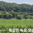 대청댐 의 산 ⛰️ 물 녹음 이미지