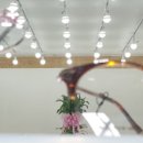 오공플러스 안경 이미지