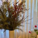 바이올린 | 강남피아노학원 " 에브리 피아노 바이올린 "에서 만족후기