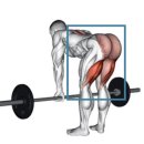 원종 헬스 이미지