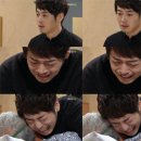 메이퀸 이미지