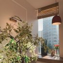 세종하이치과의원 이미지