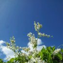 오.빵 타이어 이미지