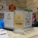 호텔(HOTEL)801 | 나트랑 시내 가성비 숙소 추천 사타 호텔 숙박 조식 수영장 후기 Sata Hotel