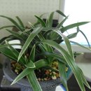 난실경로당 이미지