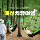 산림문화체험관 이미지